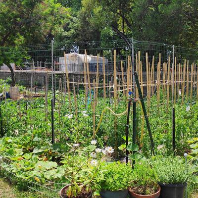 Résidence La Source